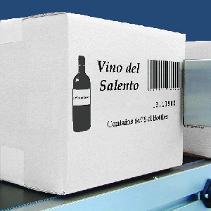 Softaware dan Hardware Industrial High Resolution Printer Industrial Packaging Printer